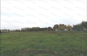 Eladó Balatonszabadi lakóövezeti telek hirdetés (47334545)