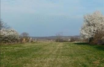 Eladó Balatonszárszói lakóövezeti telek hirdetés (98434694)