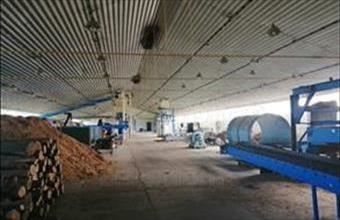 Kiadó Balatonendrédi telephely hirdetés (42536742)