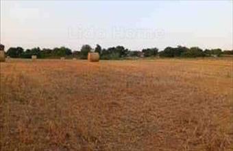 Eladó Balatonszabadi egyéb mezőgazdasági ingatlan hirdetés (63336167)