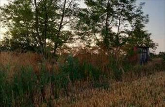 Eladó Balatonszabadi egyéb mezőgazdasági ingatlan hirdetés (63336167)