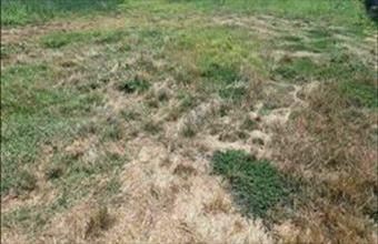 Eladó Siófoki lakóövezeti telek hirdetés (88344893)