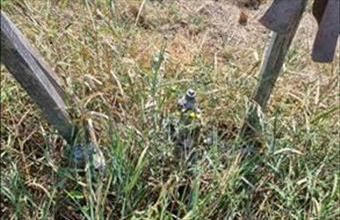 Eladó Siófoki lakóövezeti telek hirdetés (88344893)