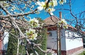 Eladó Siófoki családi ház hirdetés (92849544)