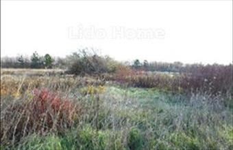 Eladó Siófoki lakóövezeti telek hirdetés (33435593)