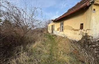 Eladó Zákányi lakóövezeti telek hirdetés (55475957)