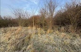 Eladó Zákányi lakóövezeti telek hirdetés (55475957)