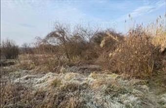 Eladó Zákányi lakóövezeti telek hirdetés (55475957)