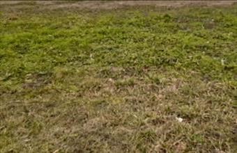 Eladó Balatonkenesei lakóövezeti telek hirdetés (26927562)