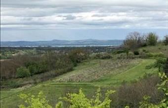 Eladó Kötcsei zártkert hirdetés (65444499)