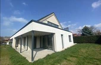 Eladó Balatonvilágosi hétvégi ház hirdetés (95558683)