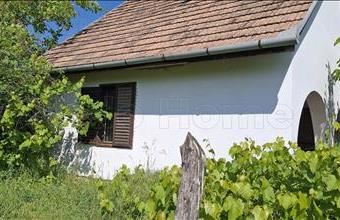 Eladó Ádándi zártkert hirdetés (39633519)