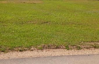 Eladó Sárszentmihályi lakóövezeti telek hirdetés (34258798)