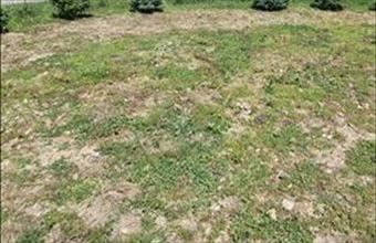 Eladó Polgárdi lakóövezeti telek hirdetés (29433397)