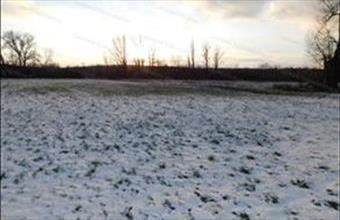 Eladó Pusztavámi lakóövezeti telek hirdetés (41744433)