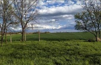 Eladó Abai lakóövezeti telek hirdetés (16834333)