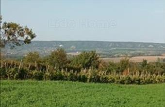 Eladó Fehérvárcsurgói zártkert hirdetés (45945464)