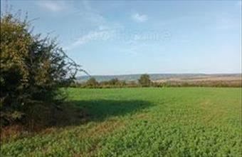 Eladó Fehérvárcsurgói zártkert hirdetés (38447155)