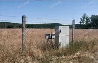 Eladó Tiszaalpári külterületi telek hirdetés (45739232)
