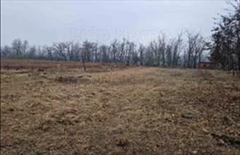 Eladó Lovasberényi zártkert hirdetés (84434292)