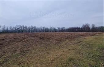 Eladó Lovasberényi zártkert hirdetés (65633499)