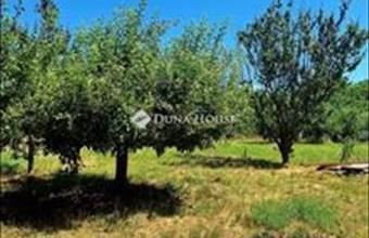 Eladó Pátyi üdülőövezeti telek hirdetés (33444126)