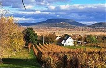 Eladó Balatonedericsi egyéb mezőgazdasági ingatlan hirdetés (54479353)