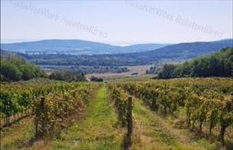 Eladó Mindszentkállai egyéb mezőgazdasági ingatlan hirdetés (45637795)