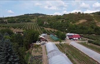 Eladó Putnoki egyéb mezőgazdasági ingatlan hirdetés (15347493)