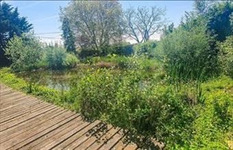 Eladó Velencei családi ház hirdetés (75444785)