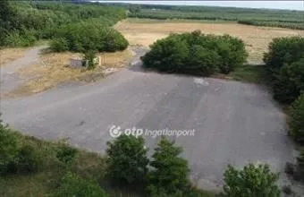 Eladó Tornyospálcai külterületi telek hirdetés (29317465)