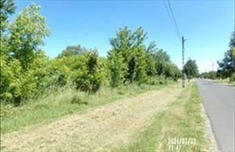 Eladó Albertirsai egyéb telek hirdetés (62391449)