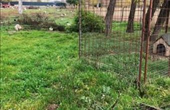 Eladó Dabasi egyéb telek hirdetés (65945543)