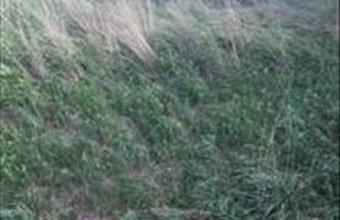 Eladó Ócsai egyéb ipari ingatlan hirdetés (22548935)