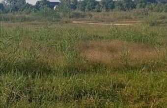 Eladó Ceglédi egyéb telek hirdetés (94235432)