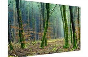 Eladó Kakucsi termőföld, szántó hirdetés (44437634)