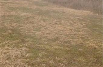 Eladó Dabasi egyéb telek hirdetés (73662317)