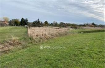 Eladó Tiszafüredi lakóövezeti telek hirdetés (53379216)