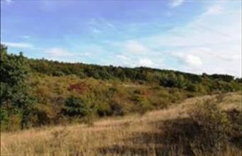 Eladó Balatonalmádi egyéb mezőgazdasági ingatlan hirdetés (86436334)