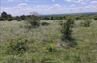 Eladó Veszprémi egyéb mezőgazdasági ingatlan hirdetés (37774713)