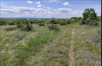 Eladó Veszprémi egyéb mezőgazdasági ingatlan hirdetés (78534318)