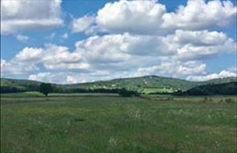 Eladó Balatonszőlősi egyéb mezőgazdasági ingatlan hirdetés (32766577)