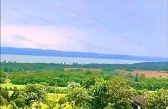 Eladó Szentantalfai egyéb mezőgazdasági ingatlan hirdetés (57853324)