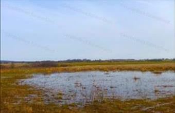 Eladó Nagyvázsonyi egyéb mezőgazdasági ingatlan hirdetés (25593294)