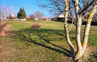 Eladó Balatonfüredi egyéb mezőgazdasági ingatlan hirdetés (34456779)