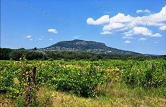 Eladó Nemesgulácsi egyéb mezőgazdasági ingatlan hirdetés (42929129)