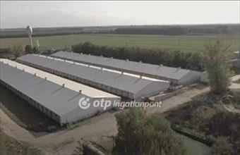 Eladó Nagylóki egyéb mezőgazdasági ingatlan hirdetés (99149963)