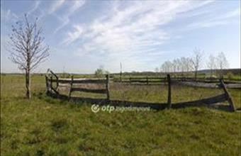 Eladó Ugodi egyéb mezőgazdasági ingatlan hirdetés (27924974)