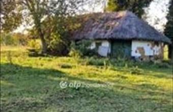 Eladó Balatonberényi külterületi telek hirdetés (37145647)