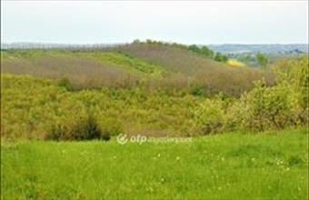 Eladó Bocföldei egyéb telek hirdetés (42454274)